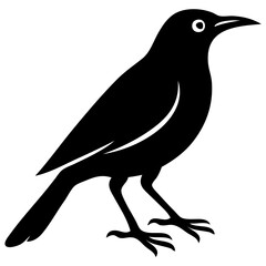 A clean black and white vector illustration of a perched crow bird, depicted in a minimalist silhouette style. Ideal for use in nature-themed graphics, birdwatching logos, wildlife illustrations.