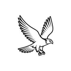 Obraz premium Majestic eagle in flight with wings spread wide falcon hawk