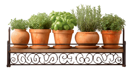 A balcony with a small herb garden in terracotta pots (e.g., basil, rosemary), isolated on a Transparent background
