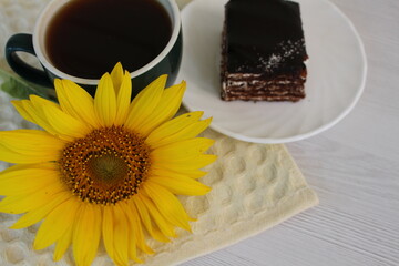 light breakfast in the morning on a weekend