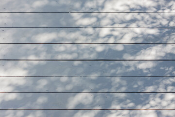 Soft Leaf Shadows on White Wooden Planks Background