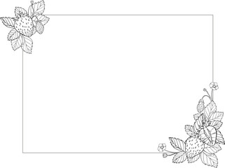 Hand drawn vector frame of strawberry isolated. Illustration for design books and invitation.
