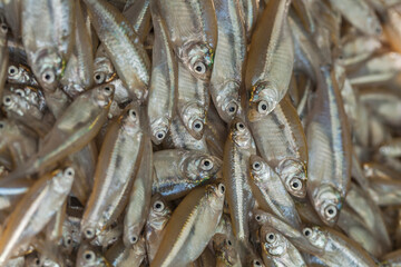 Freshly caught small fish lie glistening on a wooden board, ready for preparation or sale in a...