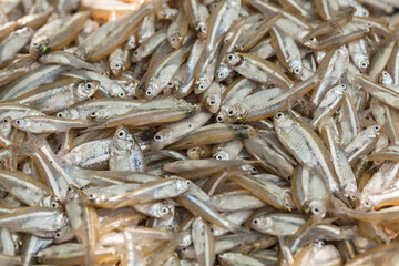 Freshly caught small fish lie glistening on a wooden board, ready for preparation or sale in a...