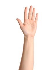 Obraz premium Raised hand, light skin tone