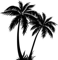 silhouette of palm tree png