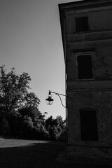 Black And White View Of Old Street Lamp Overlooking Shady Garden