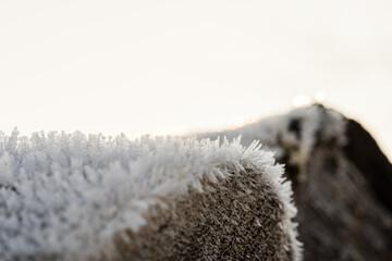 Les beautés naturelles de l’Alsace : des cristaux de glace éblouissants sous l’intense froid des Vosges, Kaysersberg vignoble, CEA, Grand Est