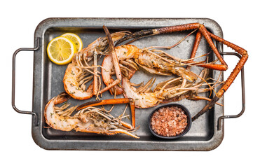 Deliciously grilled giant river prawns on steel tray, ideal for summer gatherings and outdoor...