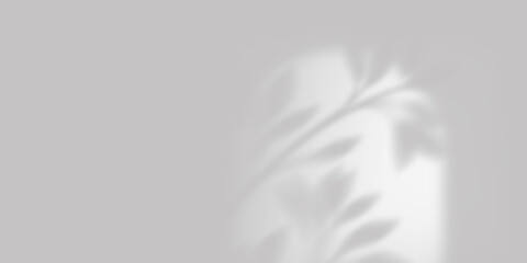 Shadows of plant branches on the wall with sunlight. Monochrome gray background.