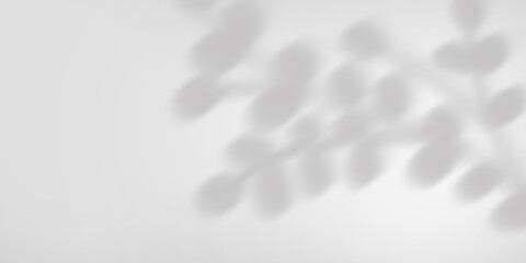 Shadows of plant branches on the wall with sunlight. Monochrome gray background.