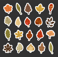 Nature leaf set in scandinavian style different shape, elements for natural botanical plants perfect for your illustration and creative designs projects