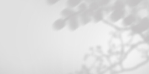 Shadows of plant branches on the wall with sunlight. Monochrome gray background.