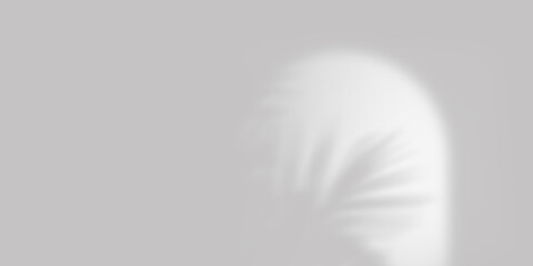 Shadows of plant branches on the wall with sunlight. Monochrome gray background.