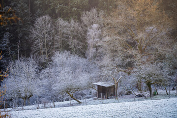 Ambiance hivernale dans le Parc Naturel Régional des Ballons des Vosges, Kaysersberg vignoble,...