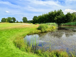 Fototapeta premium vivid pond reflection on the golf course