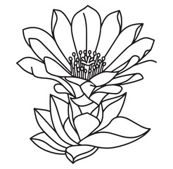 Obraz premium Two blooming lotus flowers in black and white outlines suitable for various design projects