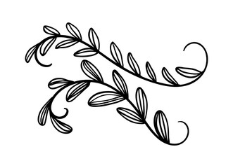 Hand drawn wedding ornament collection