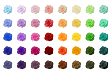 Colorful Rose PNG Collection – Isolated Multicolor Rose Flower Illustrations for Floral Design, Wedding Invitations, Greeting Cards, and Decorative Projects