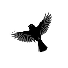 Obraz premium Silhouette of a Bird in Mid-Flight with Wings Fully Spread on White Background