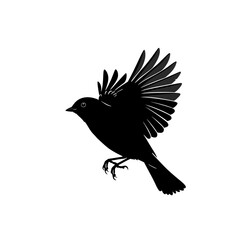 Obraz premium Silhouette of a Small Bird in Mid-Flight with Detailed Feather Wings Spread