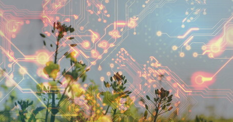 Showing green flowering stems glowing with orange-pink circuit patterns in open meadow, tech fusion