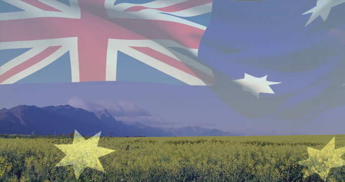 Fototapeta Displaying Australian flag merging into canola field in clear sky with mountain backdrop