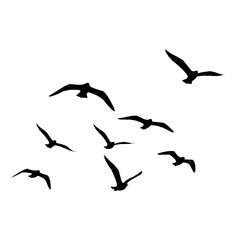 Silhouette of flying birds in motion on a clean white background