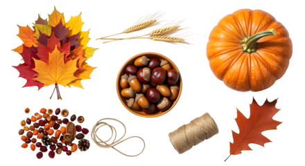 Bowl of chestnuts with wheat stalks, pumpkin, and autumn leaves, seasonal harvest collection, isolated on white background