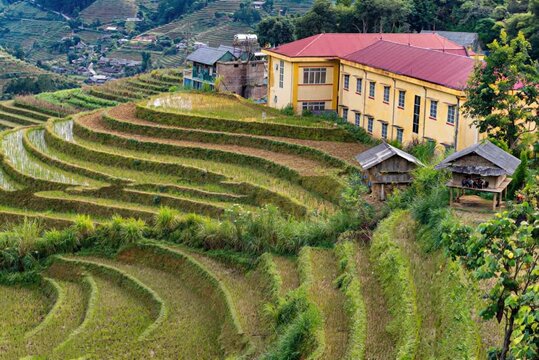 Sapa rice terraces and traditional vietnamese architecture