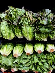 Lettuce on display