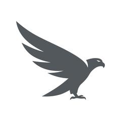Dark grey falcon bird of prey illustration predatory animal hunting eagle powerful raptor isolated vector graphic
