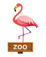 Pink Flamingo Holding Round Zoo Sign Board