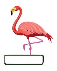 Flamingo Character Standing On A Blank White Sign