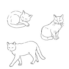 Cats in different poses, black and white ink sketch. Vector illustration. The set of silhouettes is made in a simple linear style, on a white background. The theme of animals, veterinary clinics