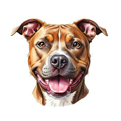 American Pit Bull Terrier