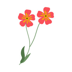 Flower Simple Illustration
