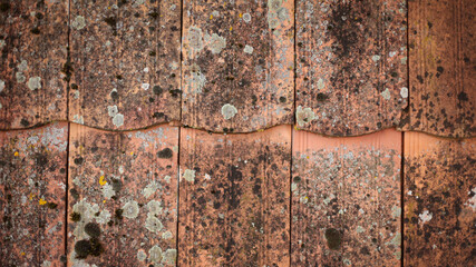 abstract background, texture, rust background, wood, concrete, stone