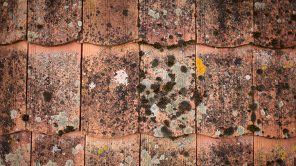 abstract background, texture, rust background, wood, concrete, stone
