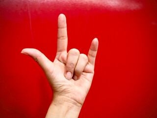 Human hand formed LOVE sign in front of background.