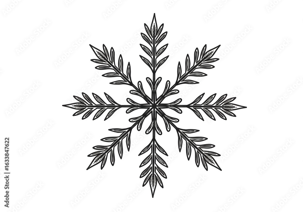 Poster a symmetrical snowflake design with detailed leaf like patterns in black and white color scheme