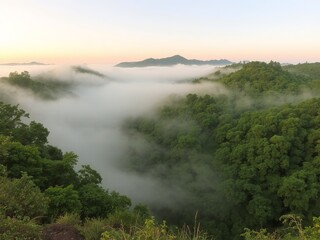Aerial view of a misty valley with green trees and mountains in the background at sunrise