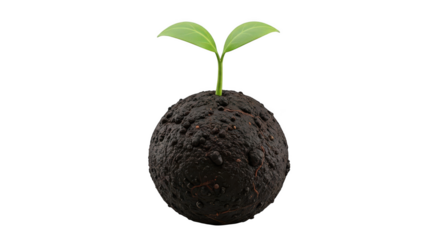 Young green sprout growing from earthy ball isolated on transparent background