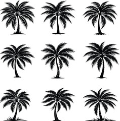 A vector silhouette of tropical palm trees against a summer sky