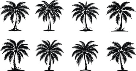 Obraz premium Vector silhouette set of tropical palm trees on a beach at sunset, perfect for summer vacation designs