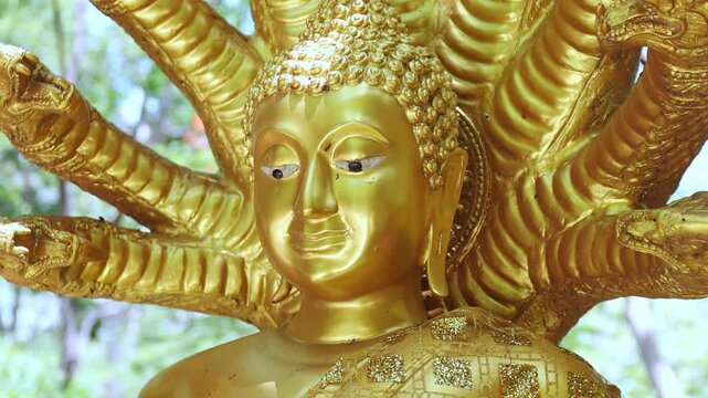 Gold Buddha statue, Golden Buddha statue with seven-headed naga outdoors, Detailed art and faith, reflecting Thai culture and religion, perfect for spiritual and cultural footage, close-up