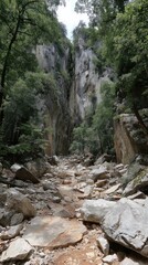 Obraz premium Rocky canyon trail, sunlight filters through trees