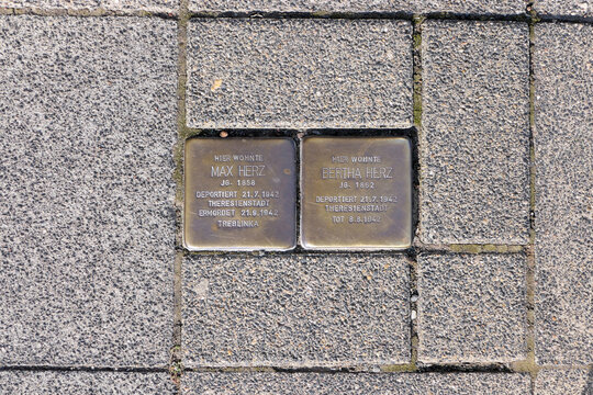 stolpersteine f&uuml;r max und bertha herz in d&uuml;sseldorf, august 2024