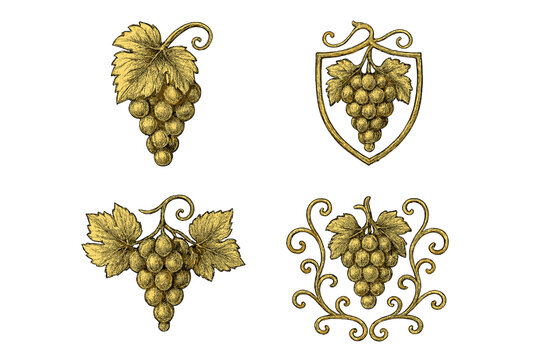 Vintage golden grape cluster emblems set. Hand drawn vineyard logo bundle with ornate leaves, scrolls, shield, transparent background. Winery label, wine design, agriculture harvest art illustration