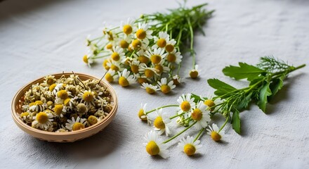 Chamomile flowers fresh and dried in a bowl on a textured white surface view